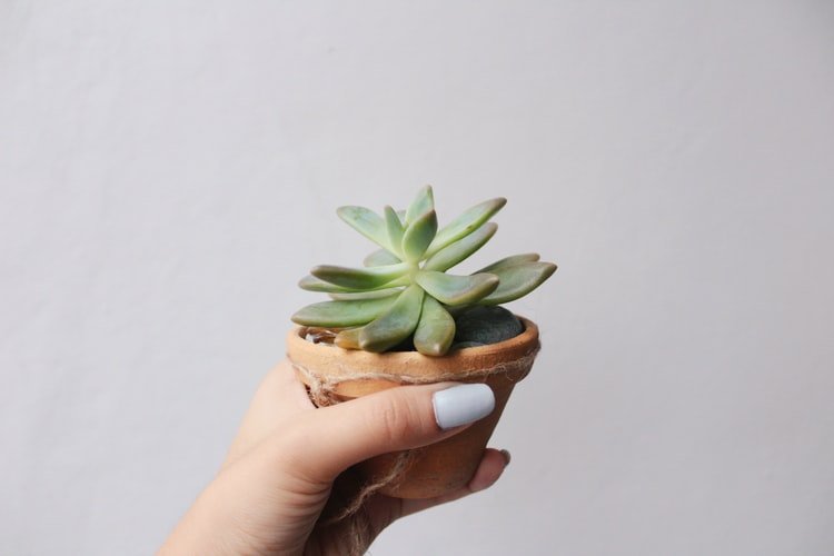 Buat Resepsi Berkesan dengan 8 Souvenir untuk Nikahan Berikut