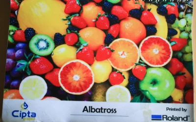 Bahan Albatros: Bahan Anti Kusut dan Sobek