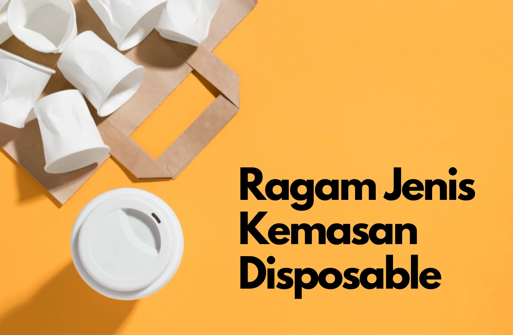 ragam jenis kemasan disposable