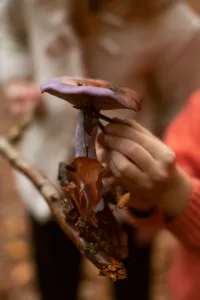 foto portrait, cetak foto karawang, perbedaan foto landscape dan portrait